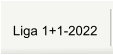 Liga 1+1-2022