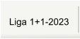 Liga 1+1-2023