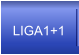 LIGA1+1