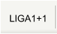 LIGA1+1