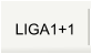LIGA1+1