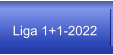Liga 1+1-2022