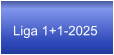 Liga 1+1-2025
