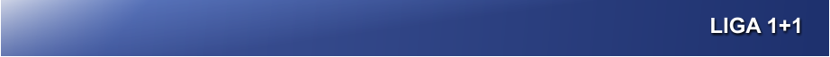 LIGA 1+1